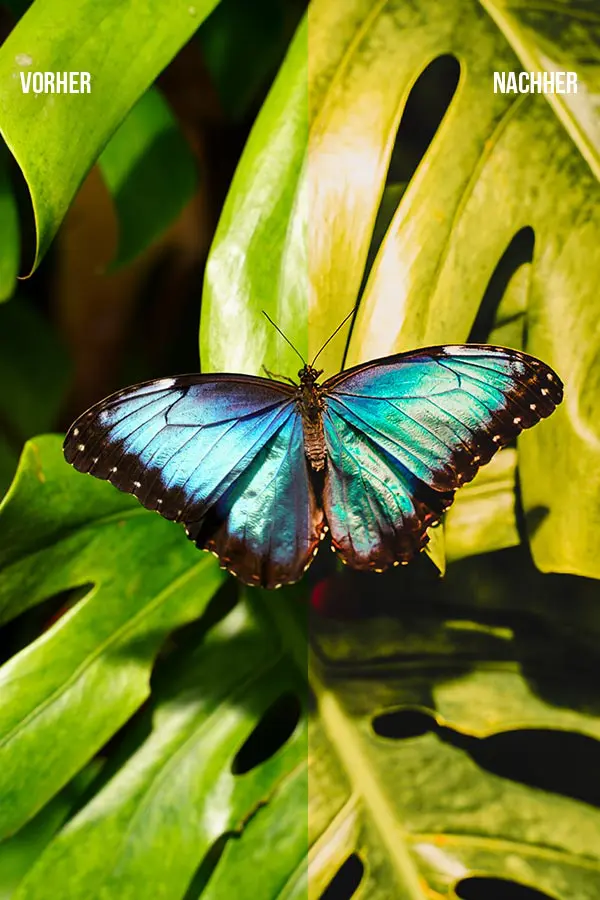 WE TRAVEL THE WORLD Lightroom Presets