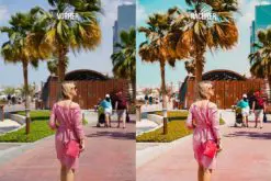 WE TRAVEL THE WORLD Lightroom Presets