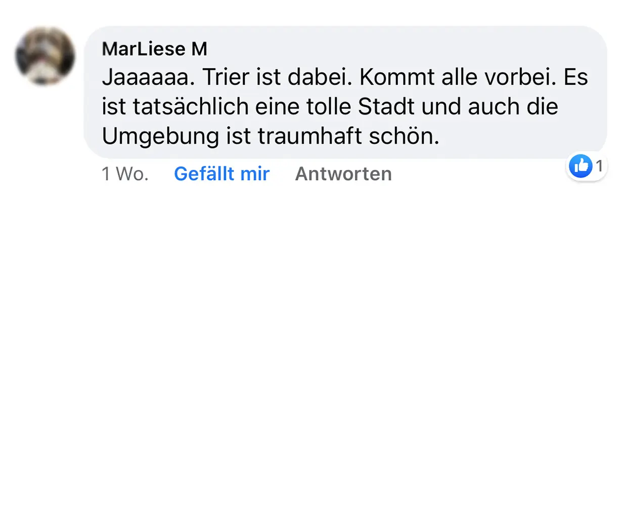 wetraveltheworld_deutschland-buch_erfahrungen_kunden_04